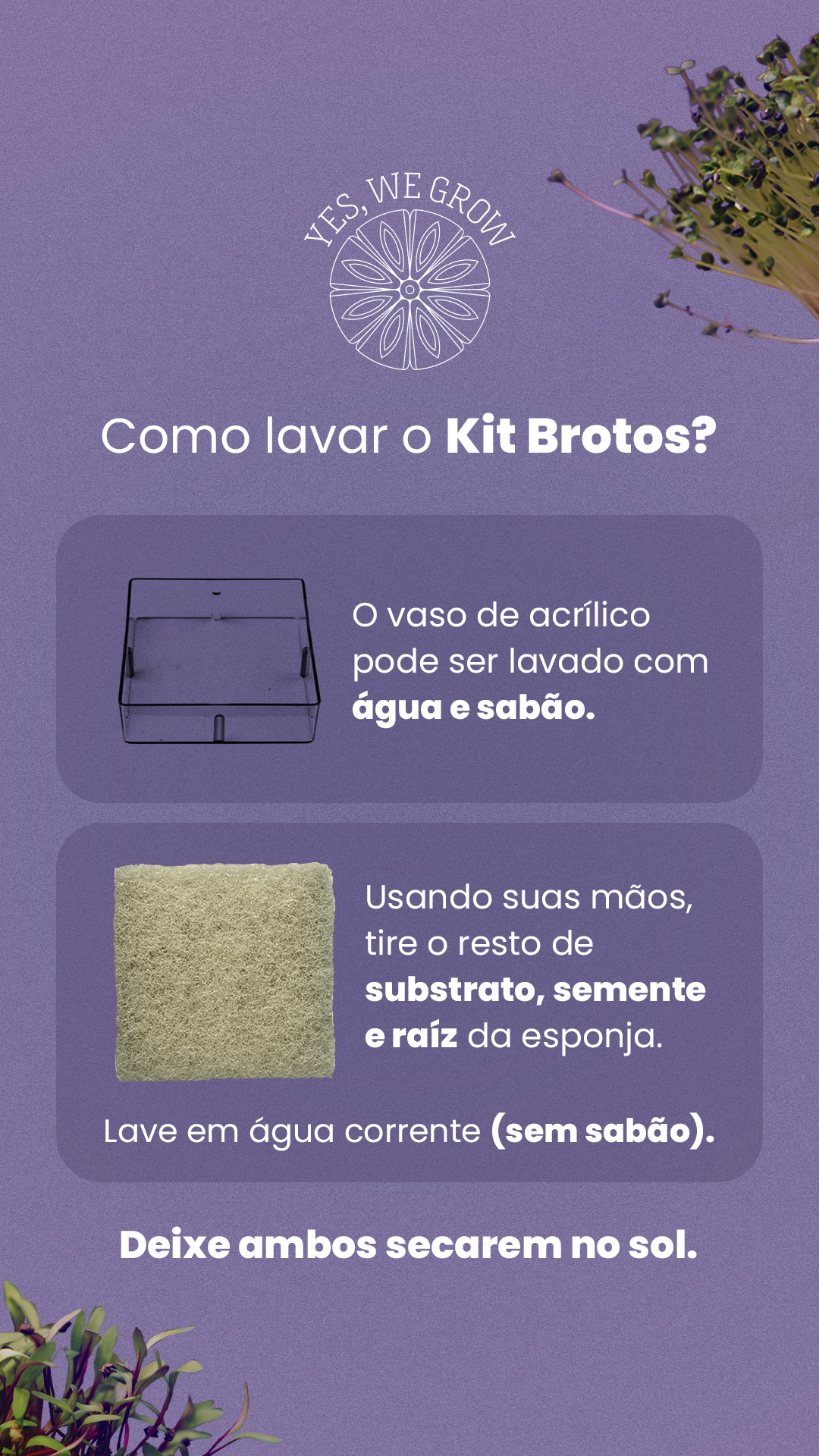 story_destaque_lavar_kit_brotos.jpg